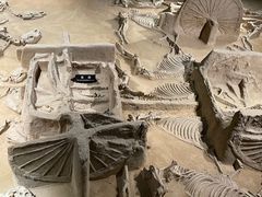 -洛阳周王城天子驾六博物馆