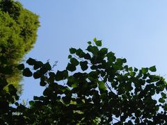 -青城公园
