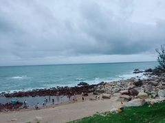 -广东惠东海龟国家级自然保护区
