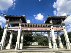 -王借岗森林公园