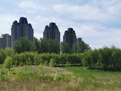 -东坝千亩湖公园