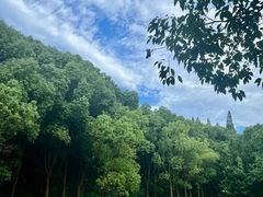 -同里国家湿地公园