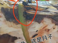 -爱月宝月嫂育儿嫂(太原店)