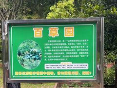 -田心森林公园