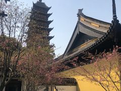 -常熟方塔园