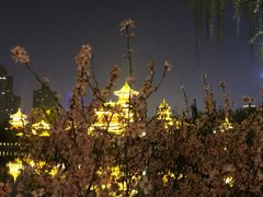 -迎泽公园