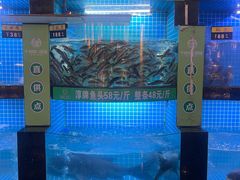 -千岛湖小鱼儿·淳安匠心农家菜