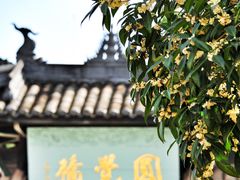 -中国观音故里广德景区