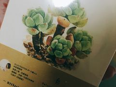 -九木杂物社(中心店)