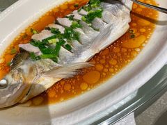 -金美华轩(东方路齐鲁店)