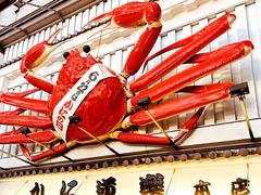 -蟹道乐(道顿堀本店)