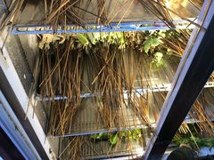 -江湖串串香(金牛万达店)