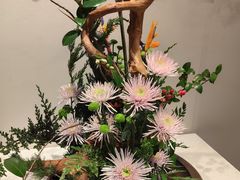 -杭州植物园