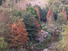 -重庆彩云湖湿地公园