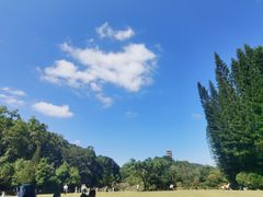-深圳仙湖植物园