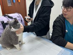 -美联众合动物医院·24h转诊中心