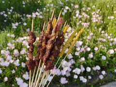 -白塔湖国家湿地公园