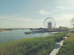 -太湖湖滨国家湿地公园-停车场