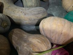 -乡乐园蟹庄·阳澄湖农家乐