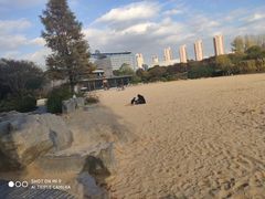 -青枫公园
