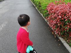 -艾溪湖湿地公园