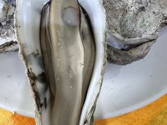 -蚝专家(北滘店)