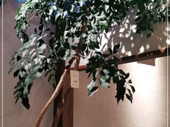 -乔街深夜食堂·台州菜·高压锅生蚝(杭州总店)