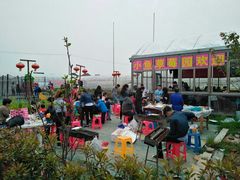 -小鱼草莓采摘园农家乐·小鱼餐厅