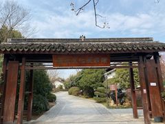 -苏州太湖国家湿地公园