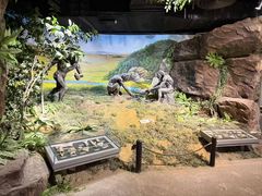 -马鞍山市博物馆