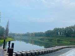 -洨河生态公园