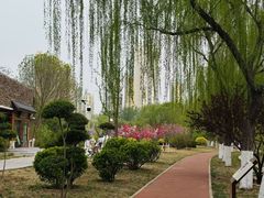 -南翠屏公园
