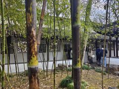 -拙政园