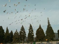 -龙口南山旅游景区