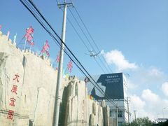 -龙大花卉苗木市场