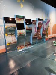 -北京科学中心儿童乐园