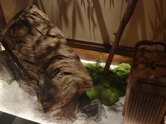 -揽季锅物会.福建黄鱼.海鲜姿造(五四路店)