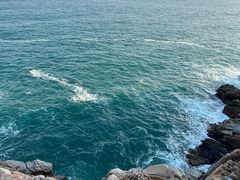 -广东惠东海龟国家级自然保护区