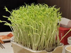 -海底捞火锅(航洋城店)