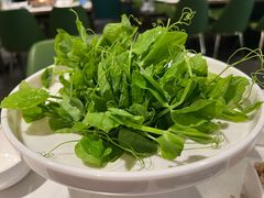 -烹然四季椰子鸡火锅(姚家园万象汇店)