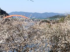 -广州市流溪河国家森林公园