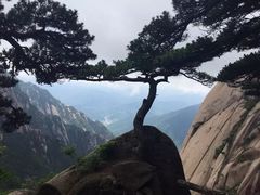 -黄山风景区