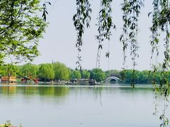 -洛阳市隋唐城遗址植物园