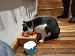 -猫的天空之城概念书店(杭州南宋御街店)