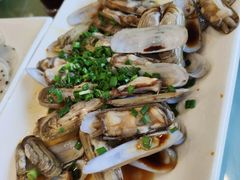 葱油蛏子-金海湾海鲜排档(朱家尖店)