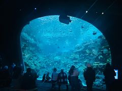 -西雅图水族馆