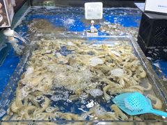 水产区-盒马鲜生(杨高南路店)