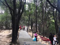 -火炉山森林公园