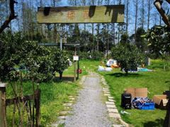 -前小桔亲子创意农场·草莓采摘·露营烧烤