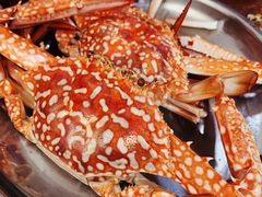 清蒸螃蟹-船奇蒸汽海鲜·闽菜(八市海鲜总店)